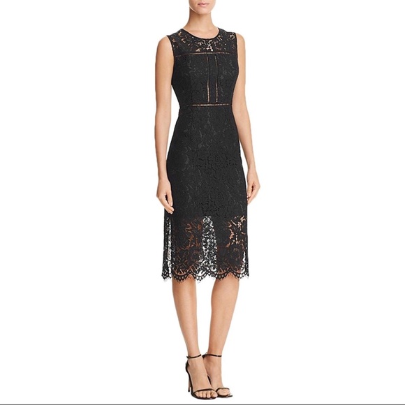Mustard Seed Dresses & Skirts - Mustard Seed Midi Lace Sheath Dress